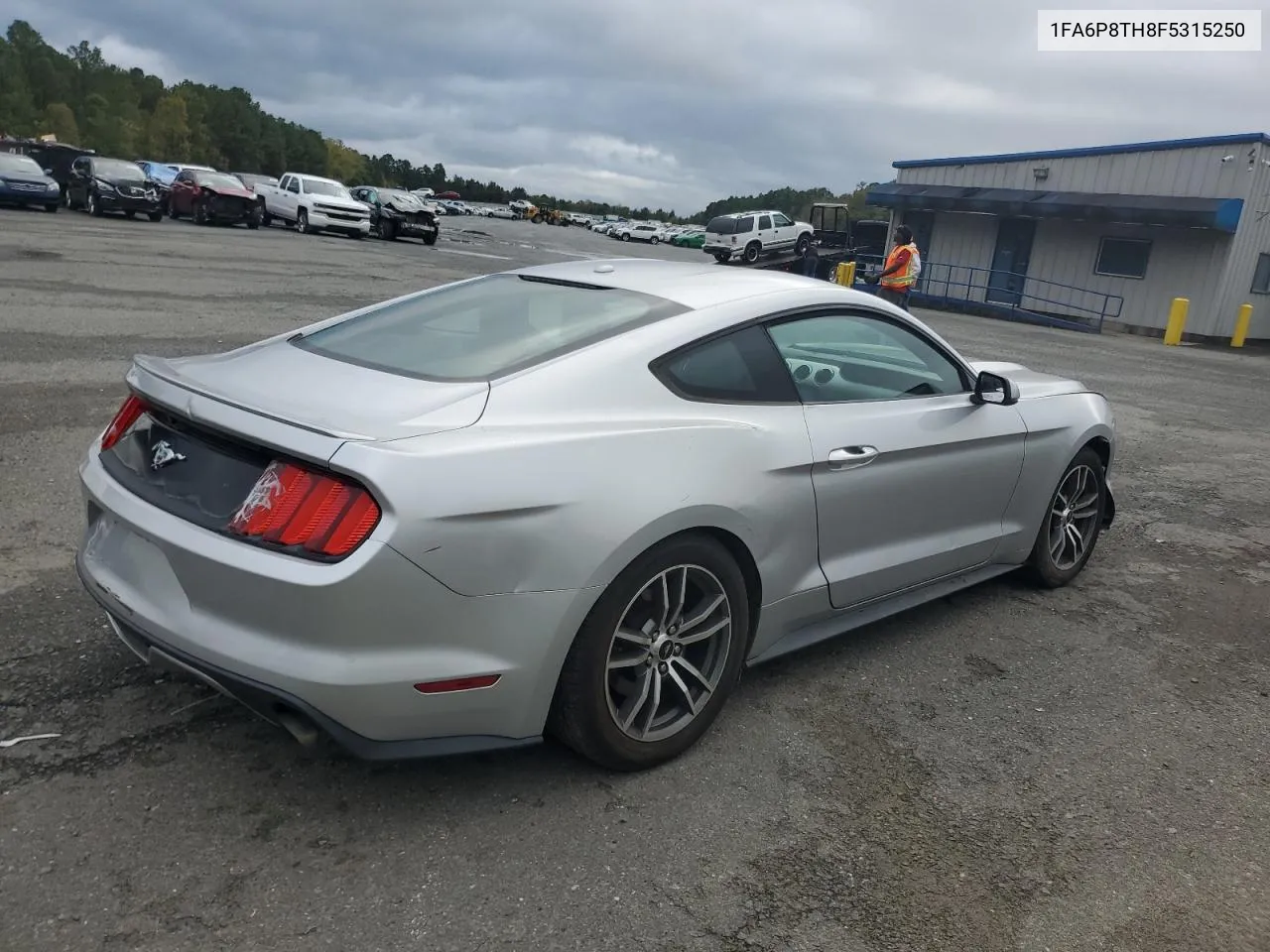 2015 Ford Mustang VIN: 1FA6P8TH8F5315250 Lot: 78905114