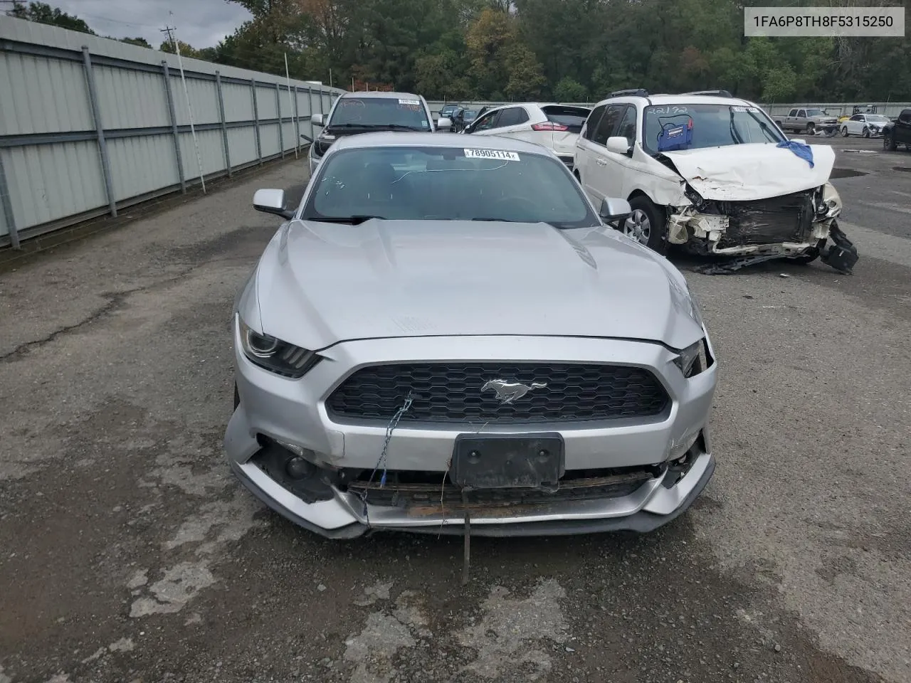 2015 Ford Mustang VIN: 1FA6P8TH8F5315250 Lot: 78905114