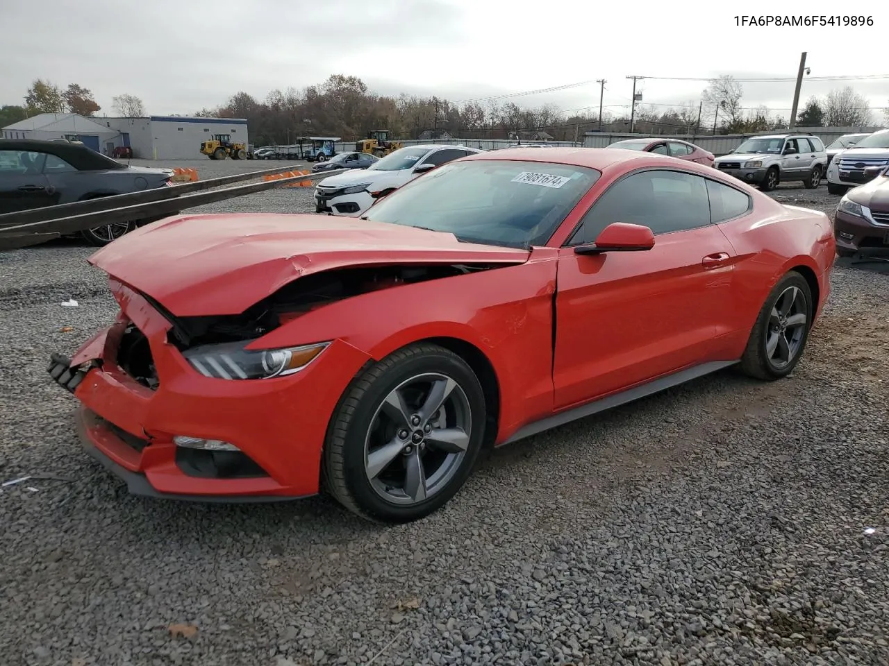 2015 Ford Mustang VIN: 1FA6P8AM6F5419896 Lot: 79081674