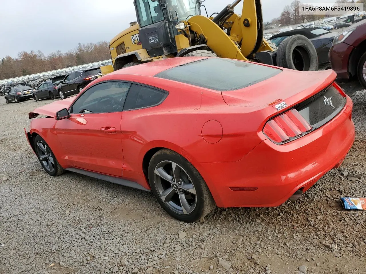 2015 Ford Mustang VIN: 1FA6P8AM6F5419896 Lot: 79081674