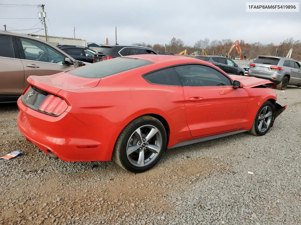 2015 Ford Mustang VIN: 1FA6P8AM6F5419896 Lot: 79081674