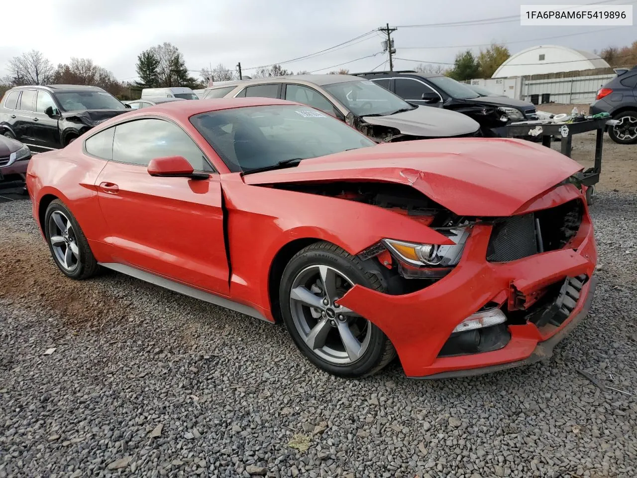 2015 Ford Mustang VIN: 1FA6P8AM6F5419896 Lot: 79081674