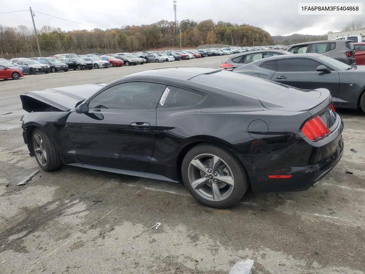 2015 Ford Mustang VIN: 1FA6P8AM3F5404868 Lot: 79335354