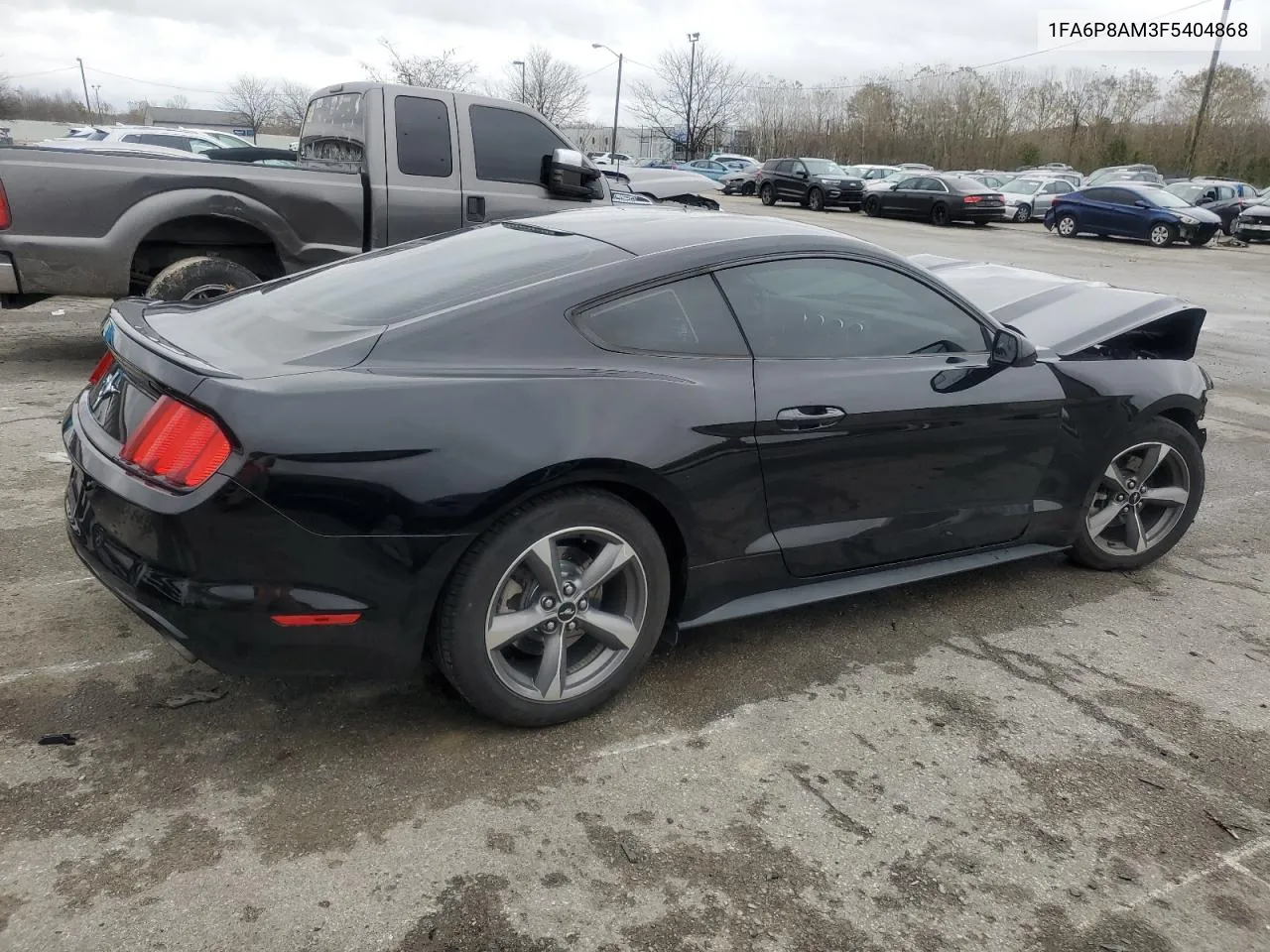 2015 Ford Mustang VIN: 1FA6P8AM3F5404868 Lot: 79335354