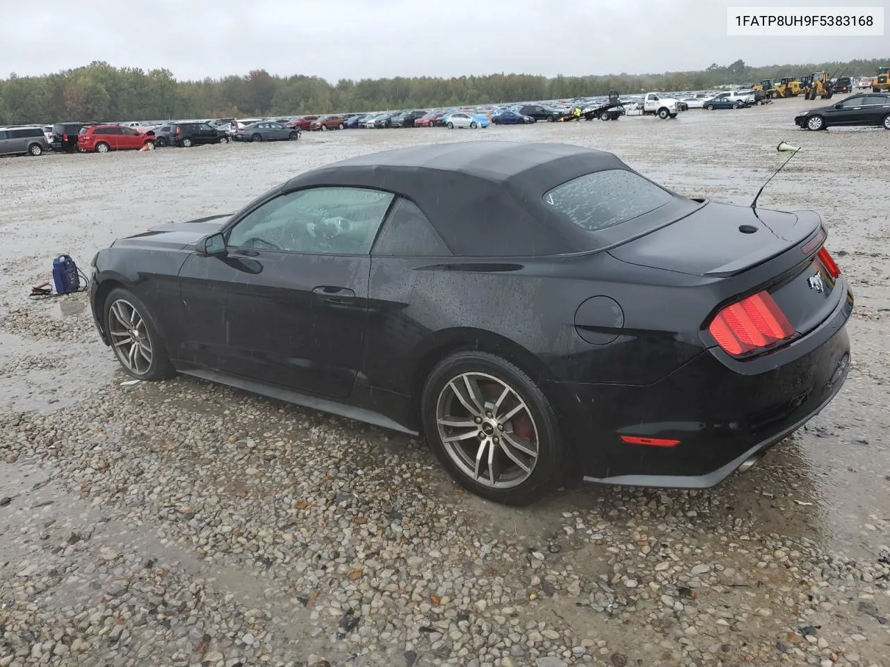 2015 Ford Mustang VIN: 1FATP8UH9F5383168 Lot: 79489464