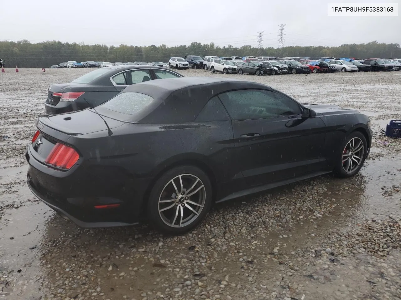 2015 Ford Mustang VIN: 1FATP8UH9F5383168 Lot: 79489464