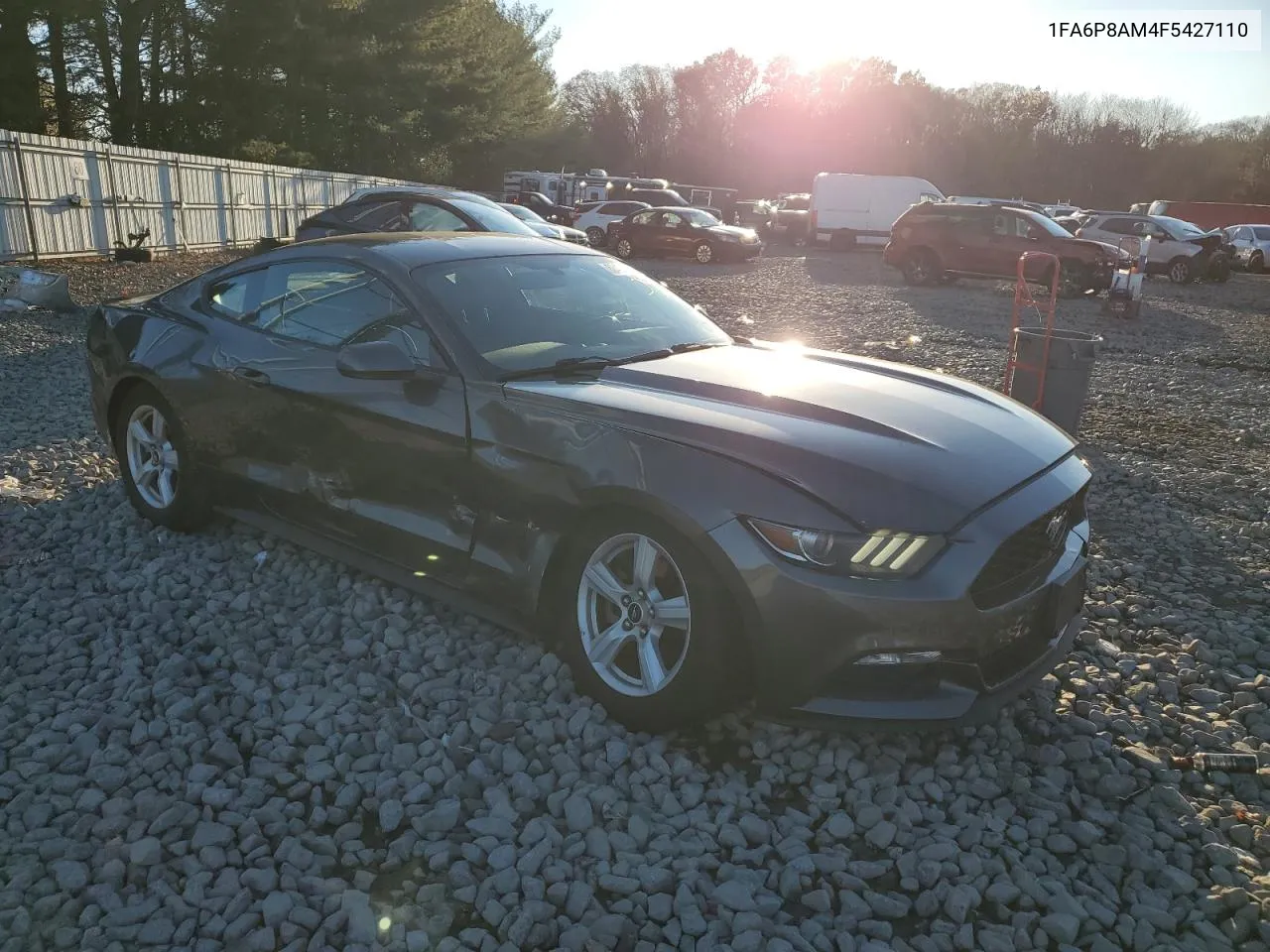 2015 Ford Mustang VIN: 1FA6P8AM4F5427110 Lot: 80428874