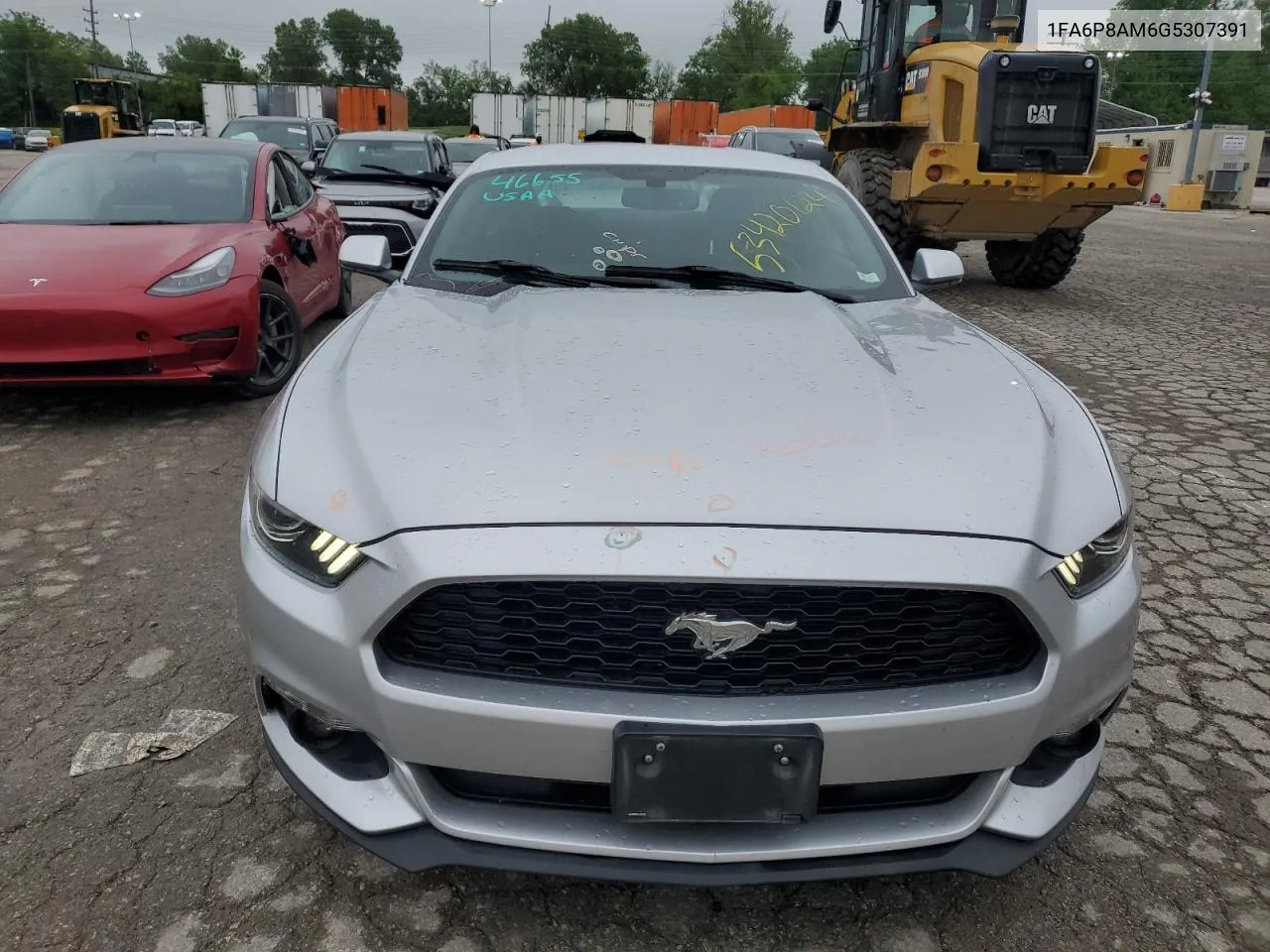 1FA6P8AM6G5307391 2016 Ford Mustang