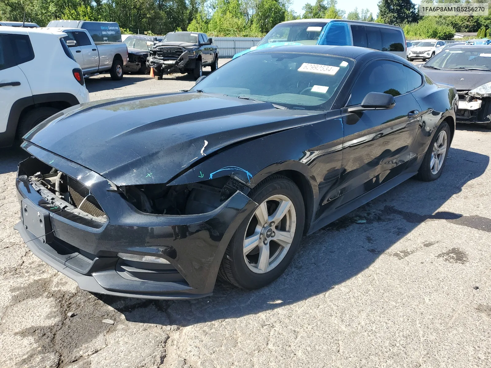 2016 Ford Mustang VIN: 1FA6P8AM1G5256270 Lot: 62992534