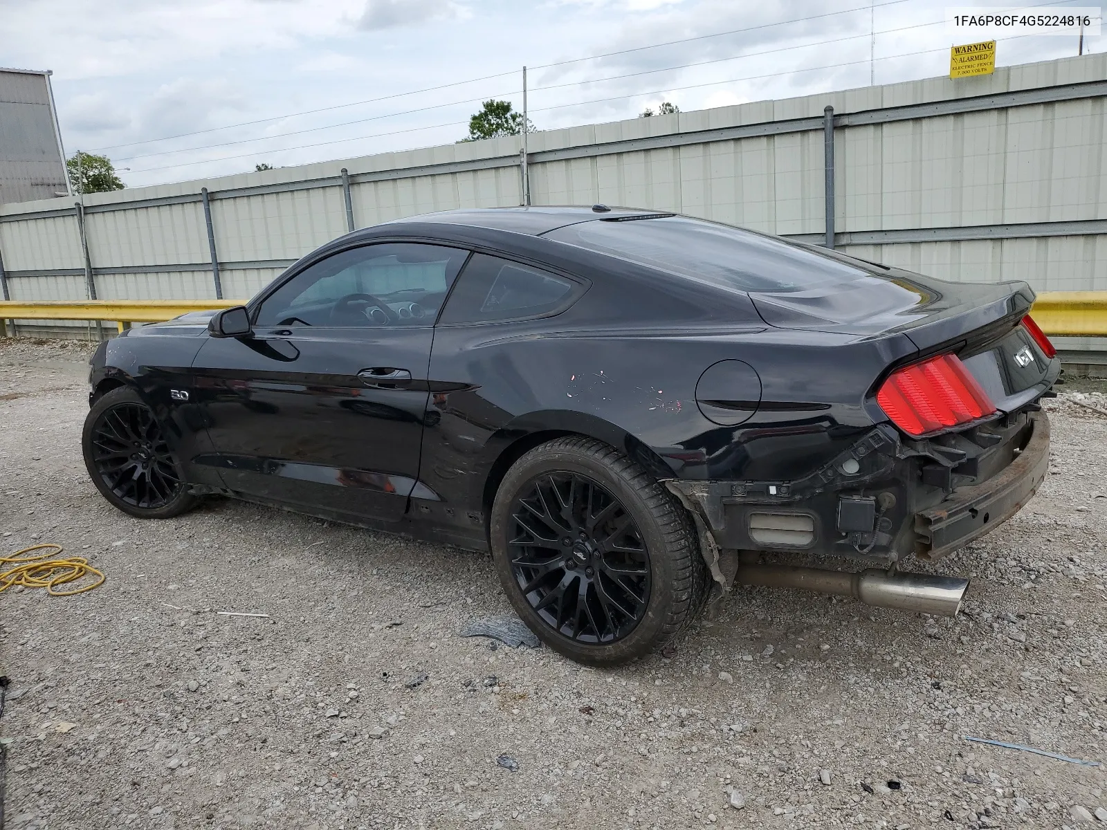 1FA6P8CF4G5224816 2016 Ford Mustang Gt