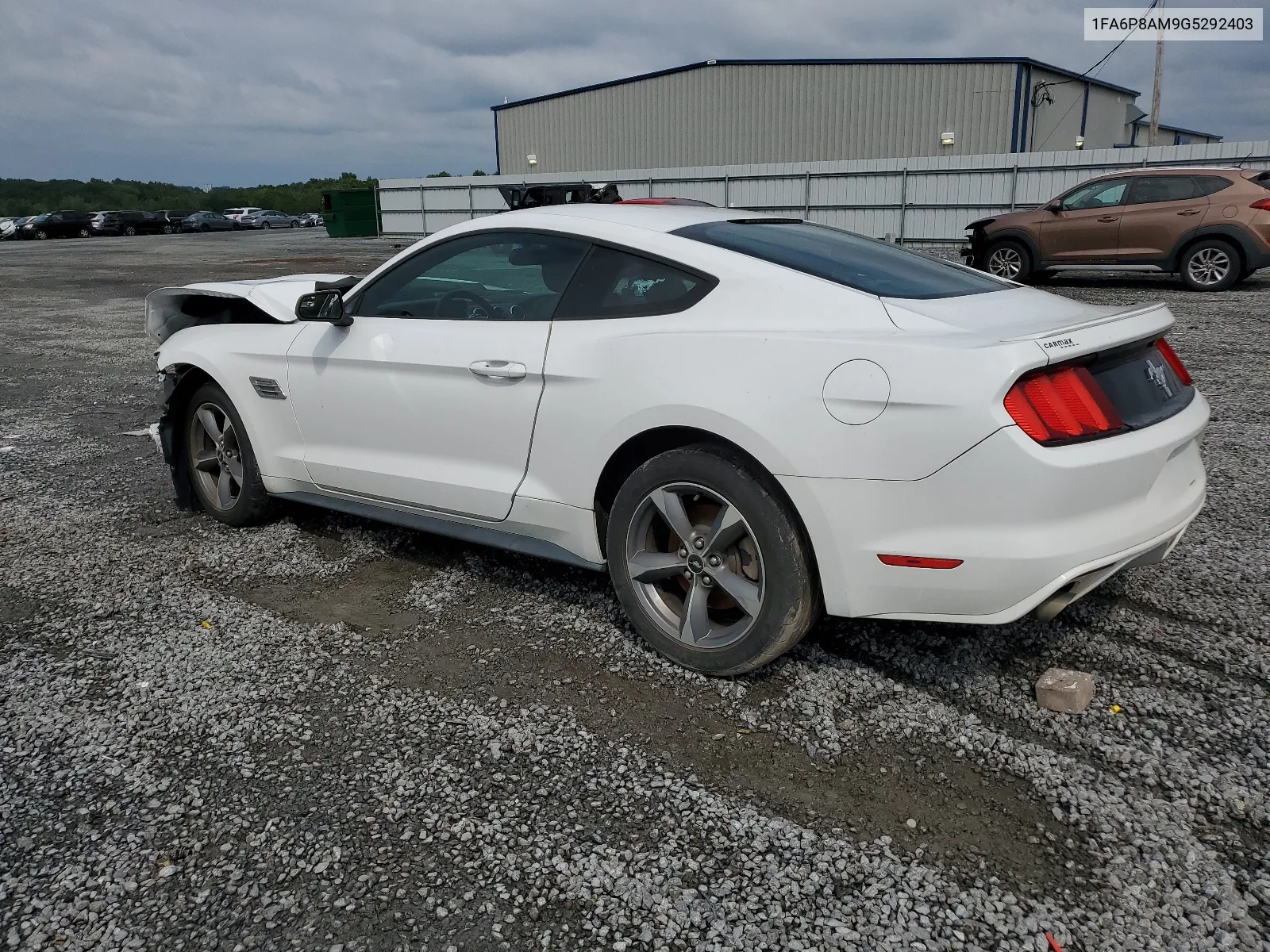 2016 Ford Mustang VIN: 1FA6P8AM9G5292403 Lot: 66329294