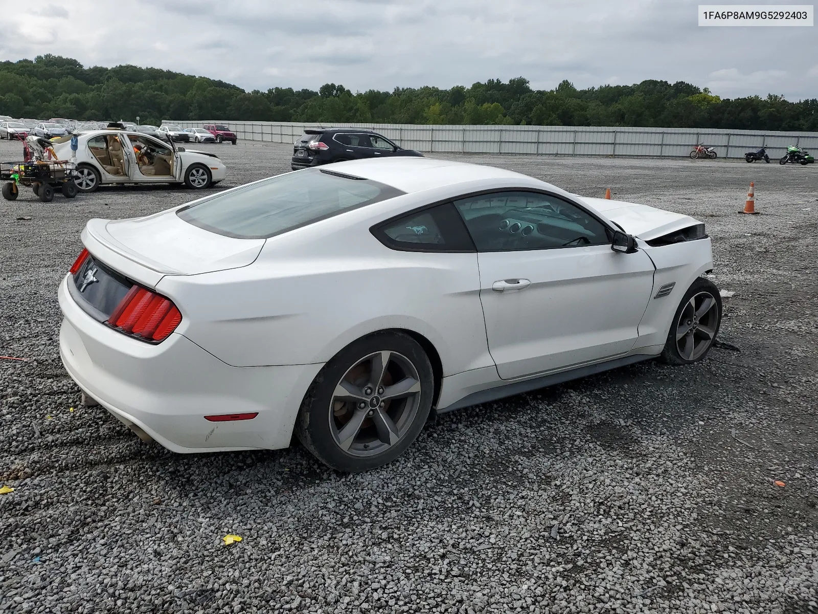 2016 Ford Mustang VIN: 1FA6P8AM9G5292403 Lot: 66329294