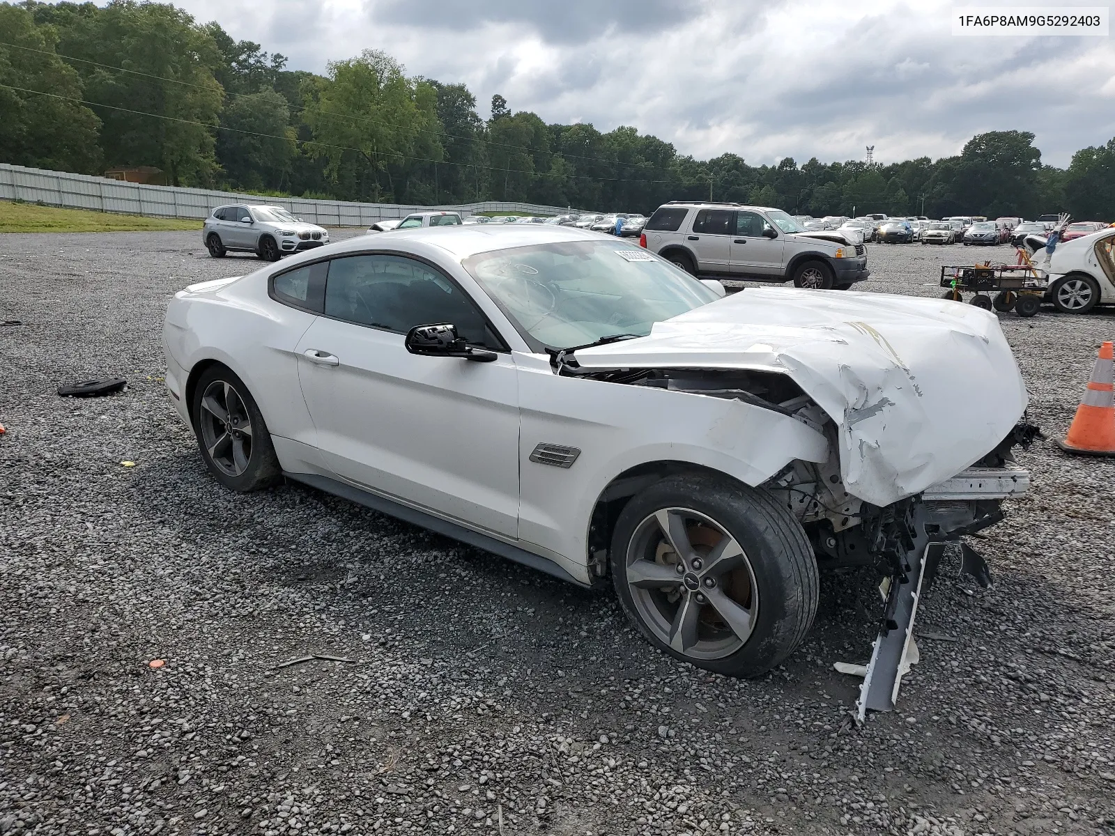 2016 Ford Mustang VIN: 1FA6P8AM9G5292403 Lot: 66329294