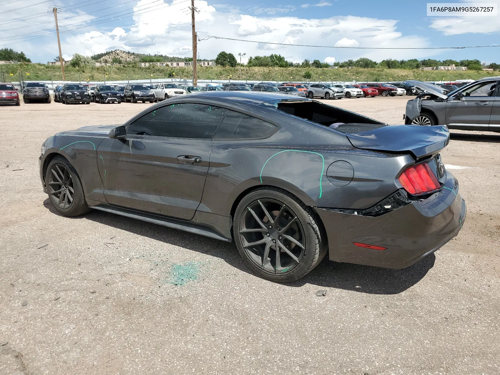 2016 Ford Mustang VIN: 1FA6P8AM9G5267257 Lot: 68062384