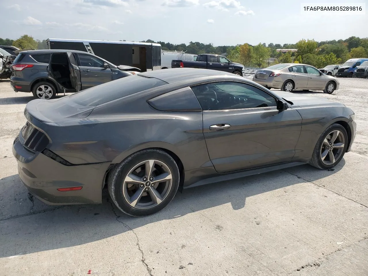 2016 Ford Mustang VIN: 1FA6P8AM8G5289816 Lot: 69230574