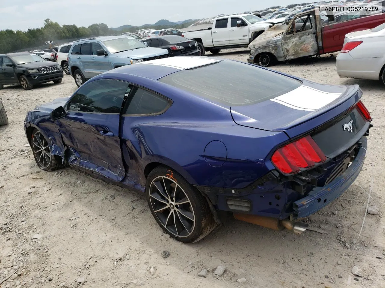 2016 Ford Mustang VIN: 1FA6P8TH0G5219789 Lot: 70234294