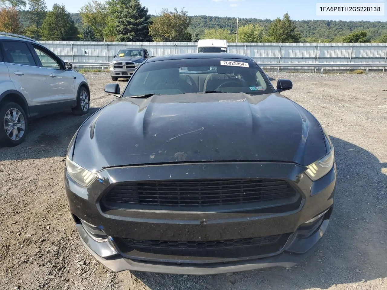 2016 Ford Mustang VIN: 1FA6P8TH2GS228138 Lot: 70825954