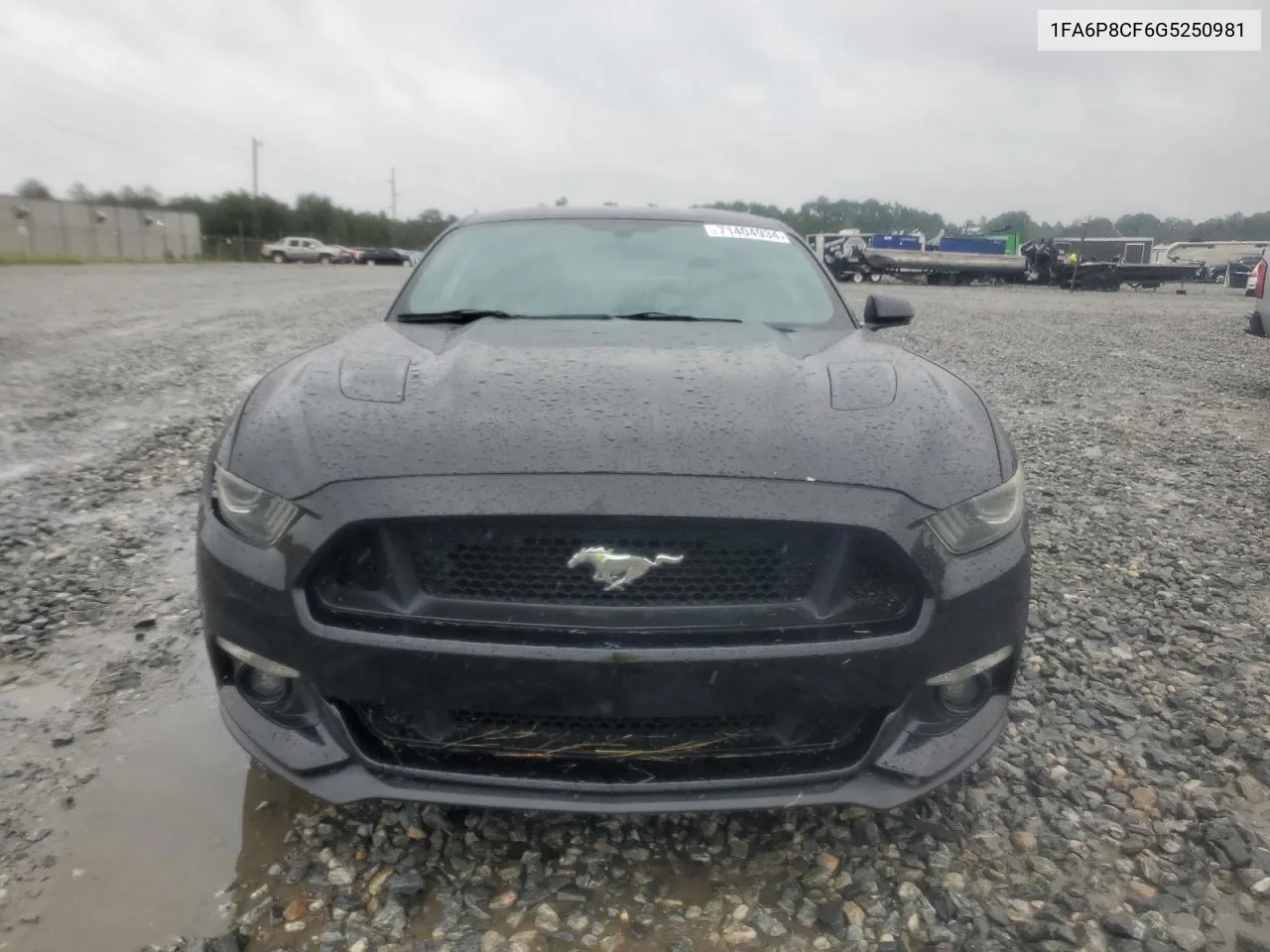 1FA6P8CF6G5250981 2016 Ford Mustang Gt