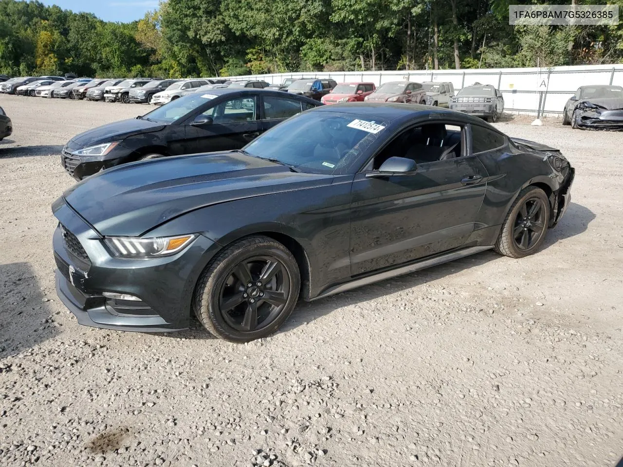 2016 Ford Mustang VIN: 1FA6P8AM7G5326385 Lot: 71412574