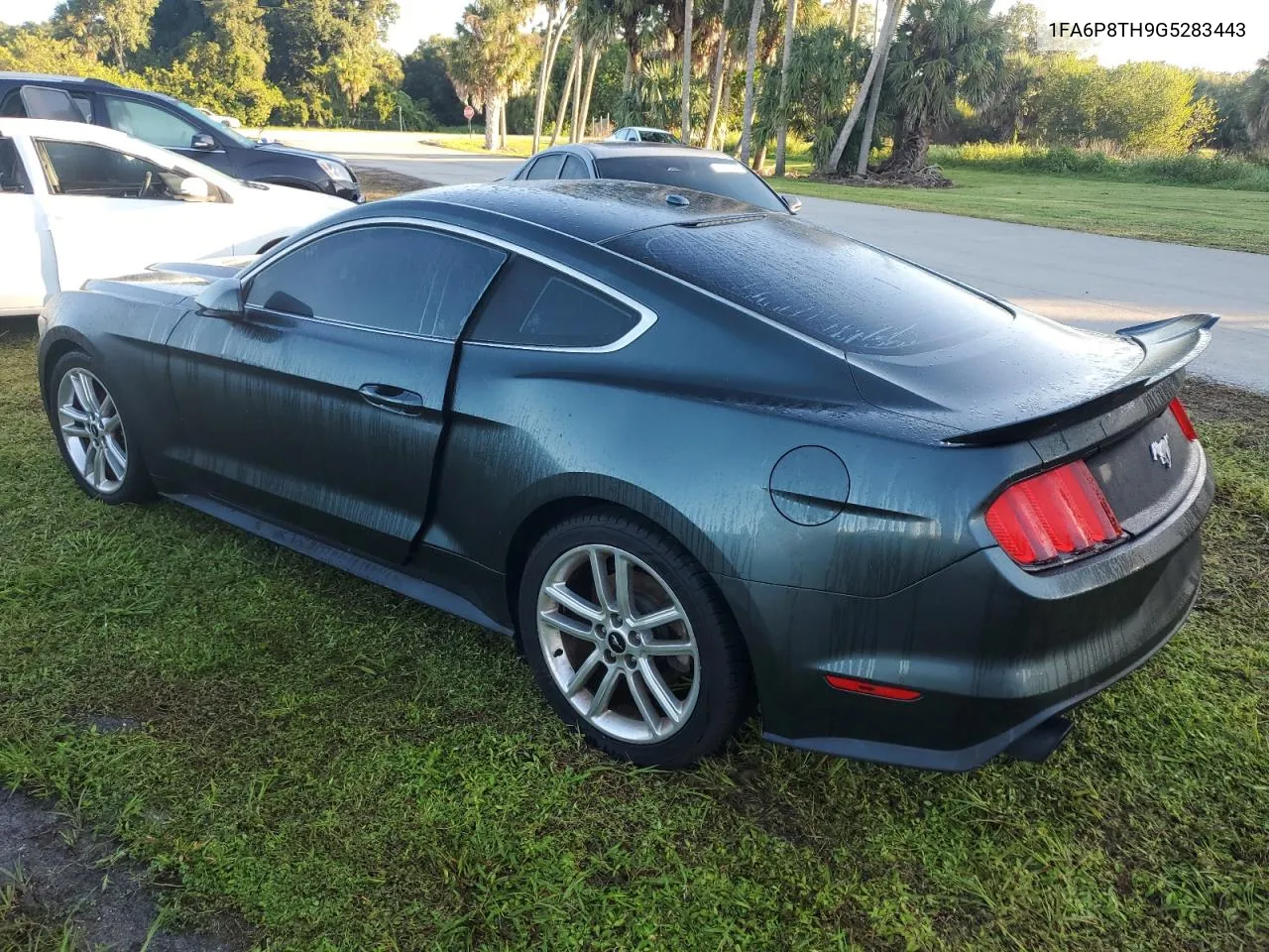 2016 Ford Mustang VIN: 1FA6P8TH9G5283443 Lot: 74092394