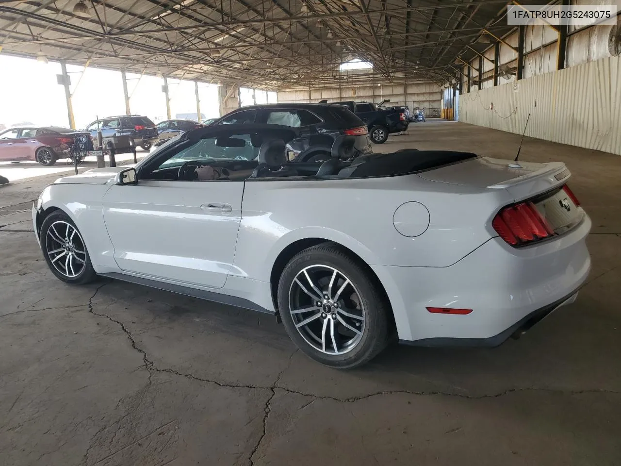 2016 Ford Mustang VIN: 1FATP8UH2G5243075 Lot: 74115004