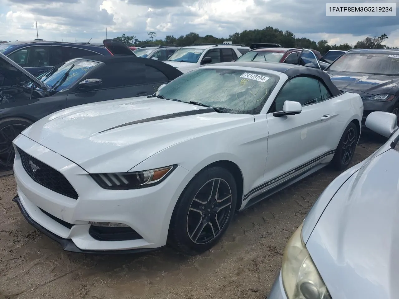 2016 Ford Mustang VIN: 1FATP8EM3G5219234 Lot: 74179194