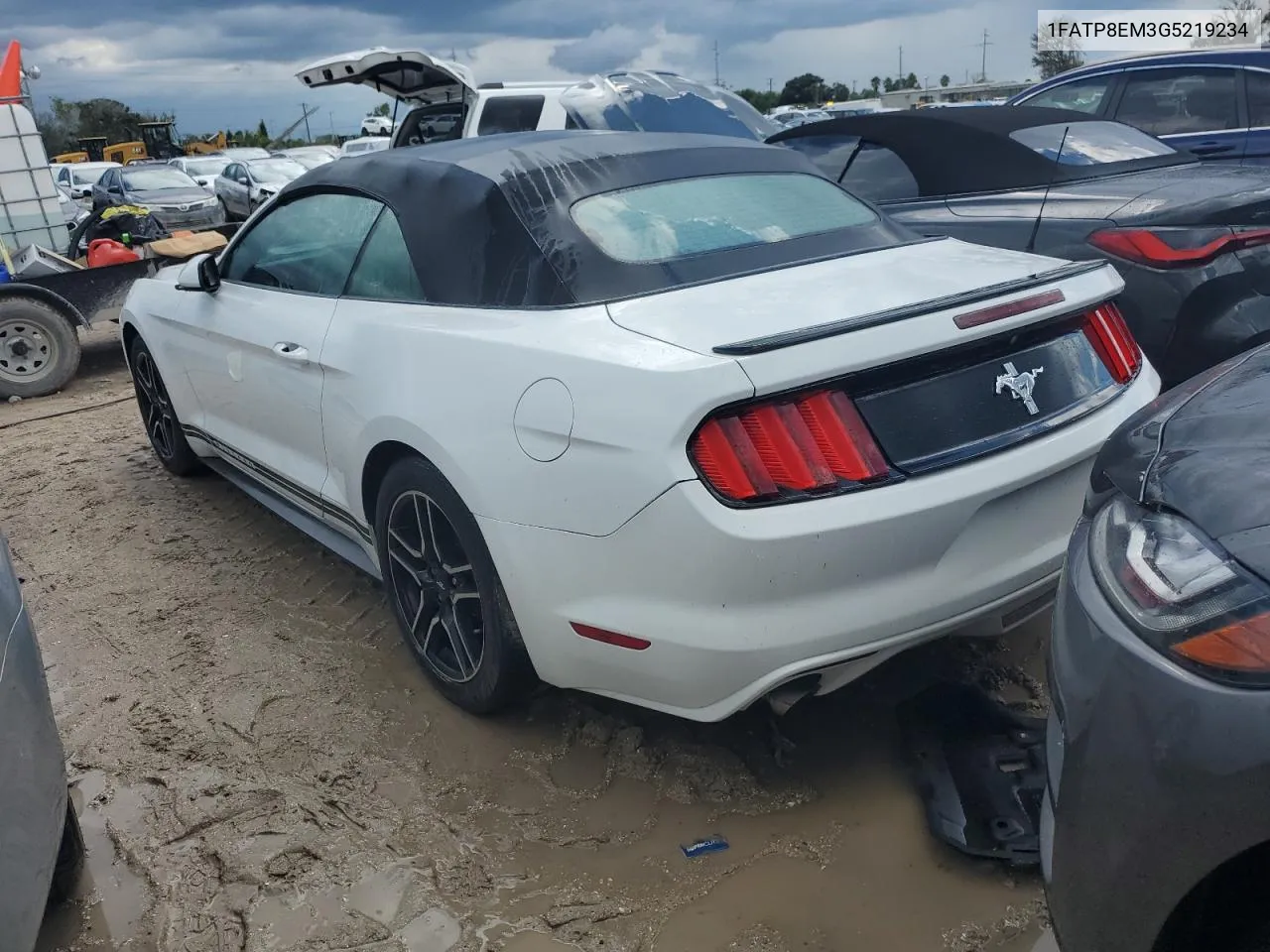 2016 Ford Mustang VIN: 1FATP8EM3G5219234 Lot: 74179194