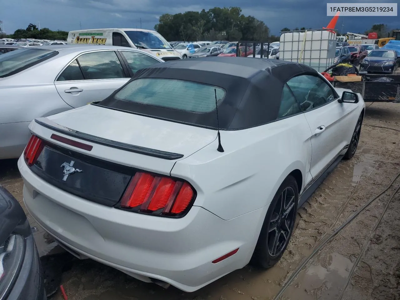 2016 Ford Mustang VIN: 1FATP8EM3G5219234 Lot: 74179194