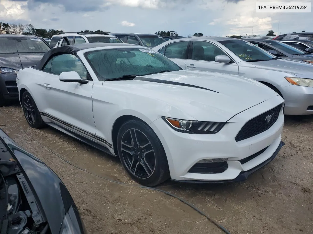 2016 Ford Mustang VIN: 1FATP8EM3G5219234 Lot: 74179194