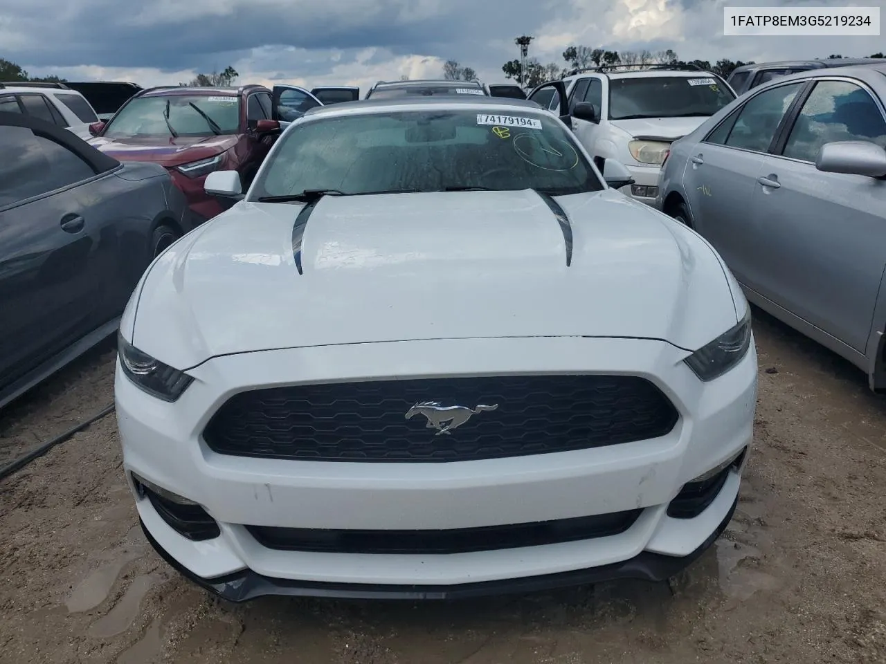 2016 Ford Mustang VIN: 1FATP8EM3G5219234 Lot: 74179194