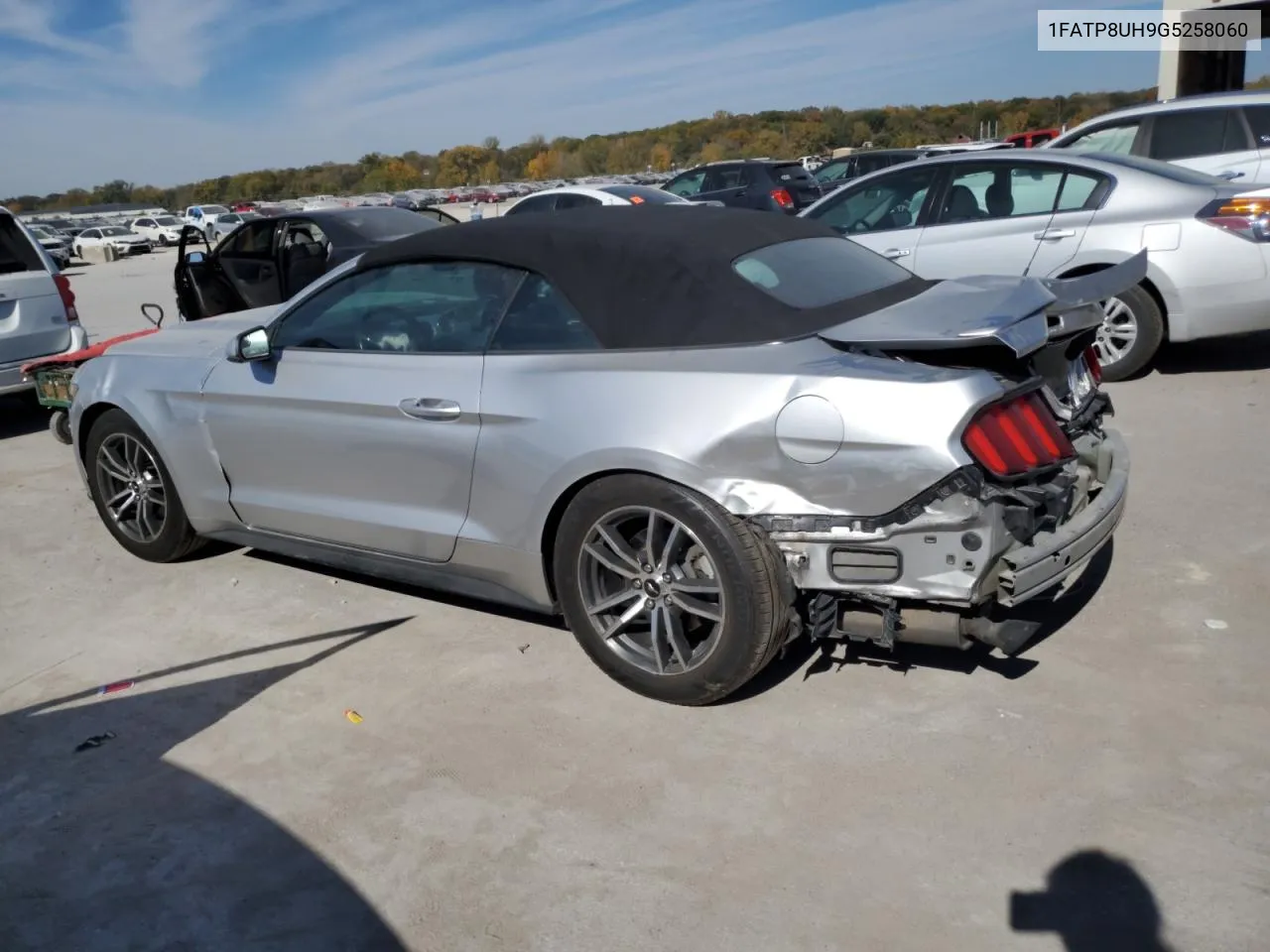 2016 Ford Mustang VIN: 1FATP8UH9G5258060 Lot: 76977494