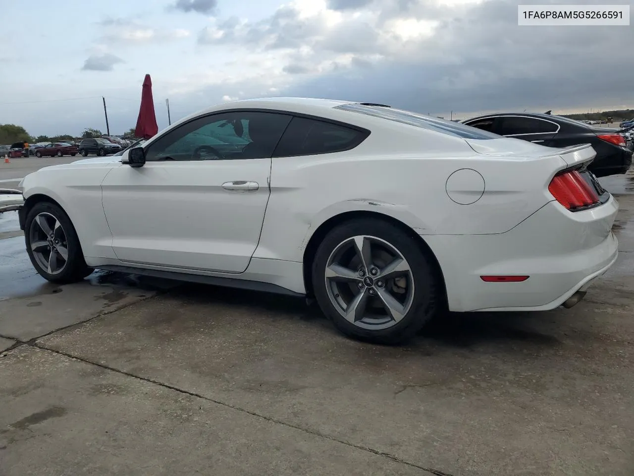 2016 Ford Mustang VIN: 1FA6P8AM5G5266591 Lot: 78929734