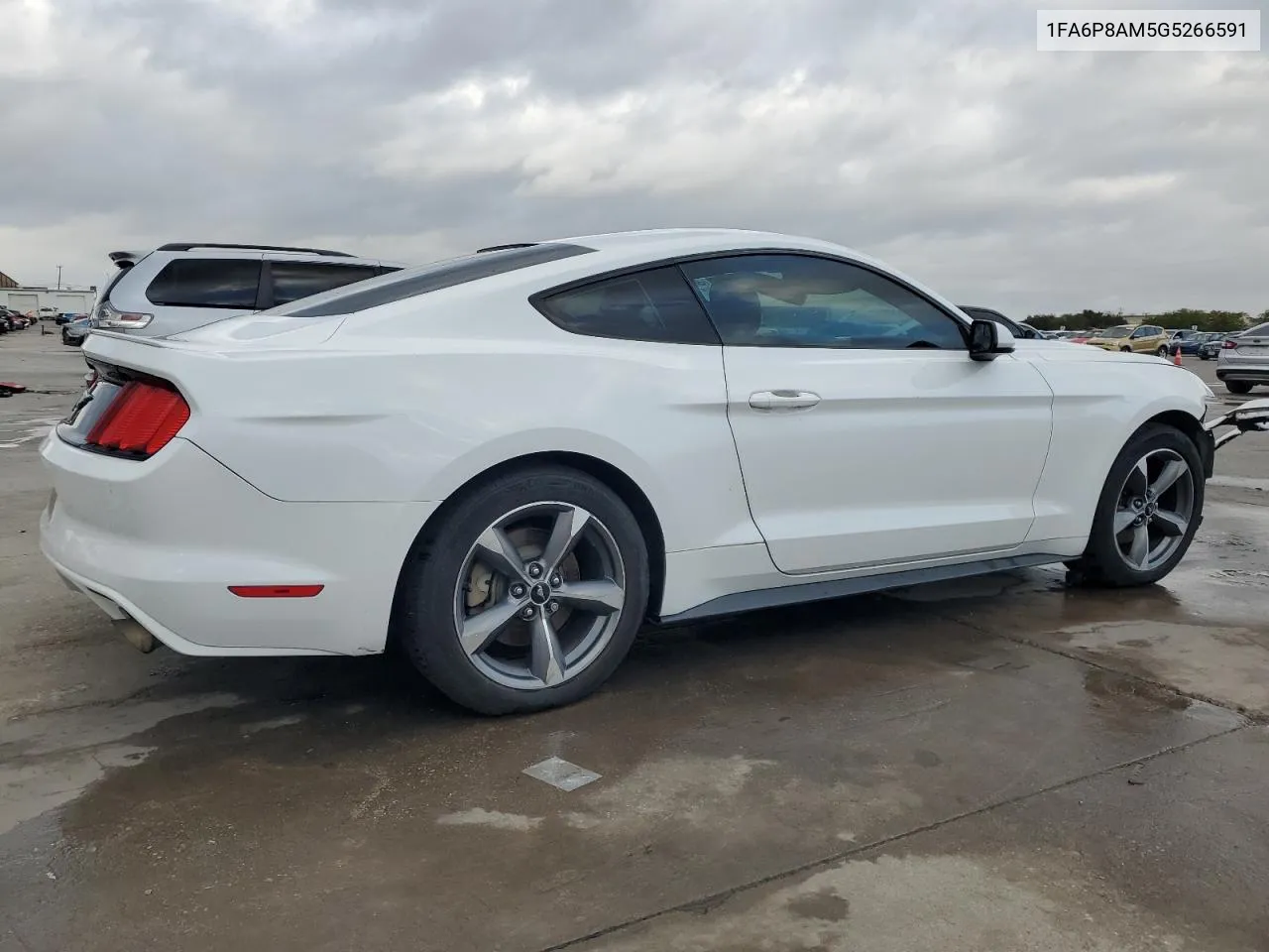 2016 Ford Mustang VIN: 1FA6P8AM5G5266591 Lot: 78929734