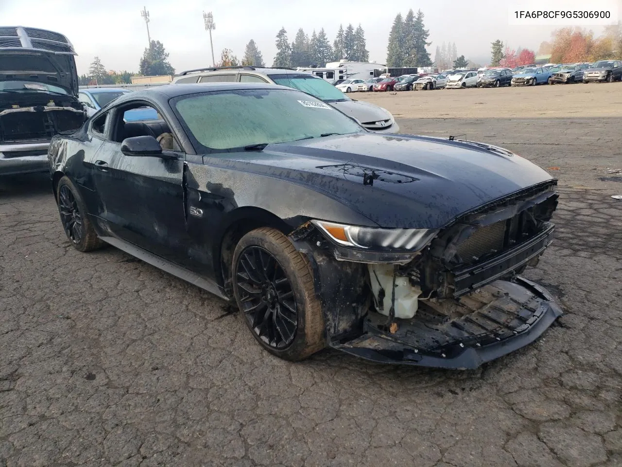 2016 Ford Mustang Gt VIN: 1FA6P8CF9G5306900 Lot: 80162804