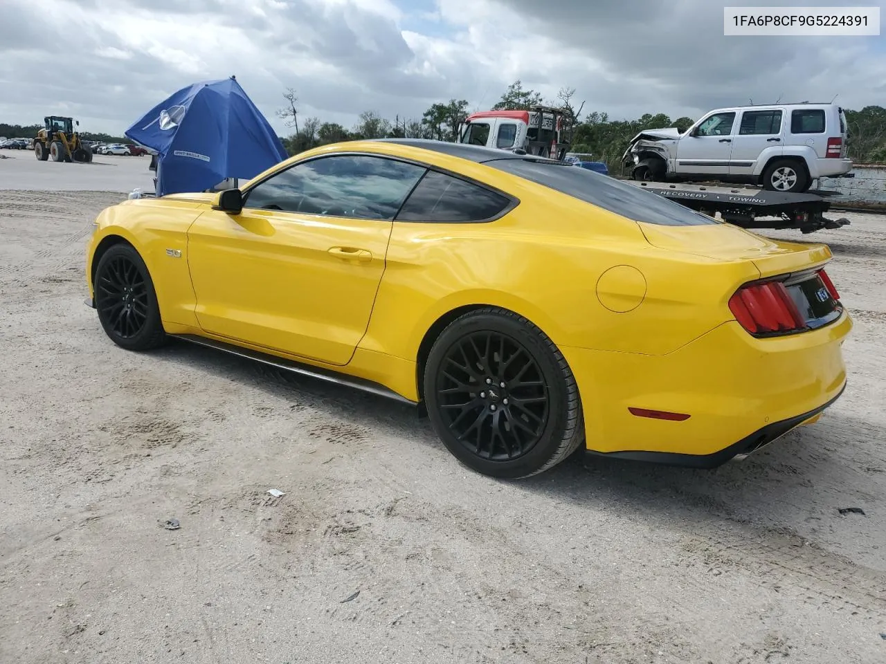 2016 Ford Mustang Gt VIN: 1FA6P8CF9G5224391 Lot: 80299154