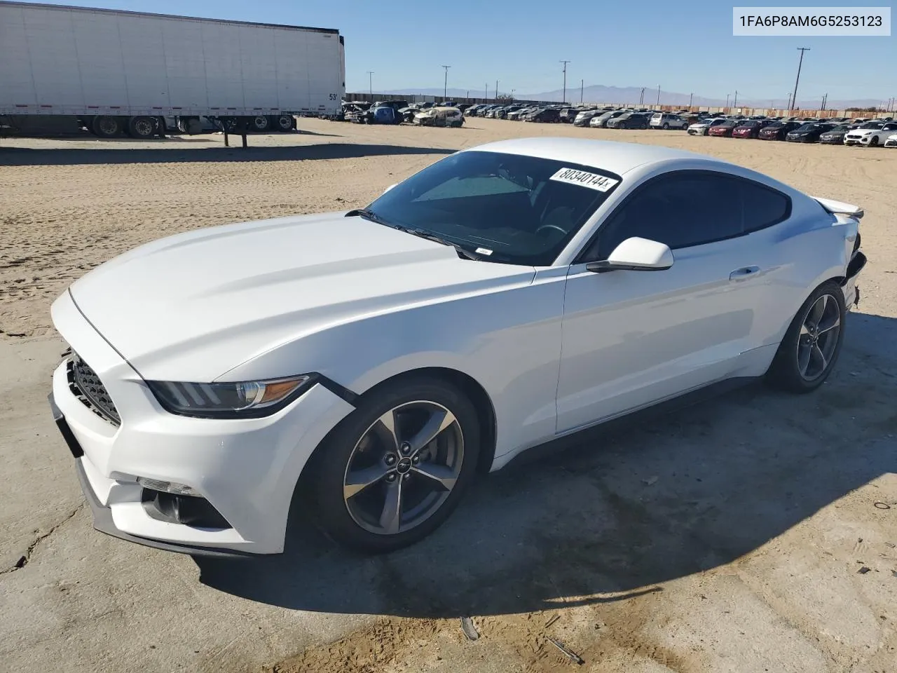 2016 Ford Mustang VIN: 1FA6P8AM6G5253123 Lot: 80340144