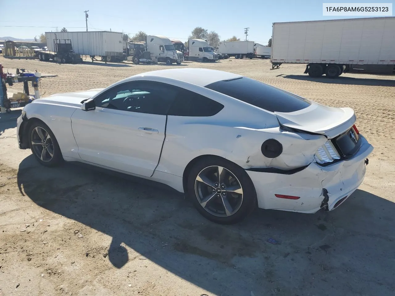 2016 Ford Mustang VIN: 1FA6P8AM6G5253123 Lot: 80340144