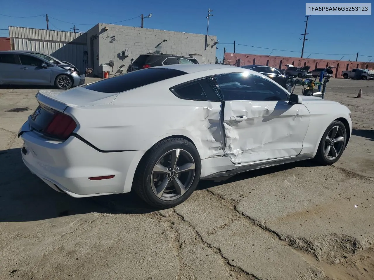 2016 Ford Mustang VIN: 1FA6P8AM6G5253123 Lot: 80340144