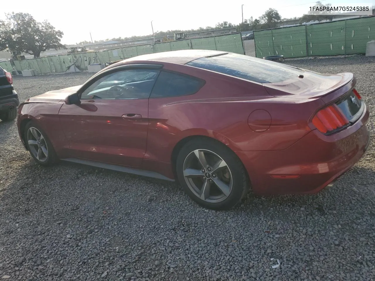 2016 Ford Mustang VIN: 1FA6P8AM7G5245385 Lot: 81076754