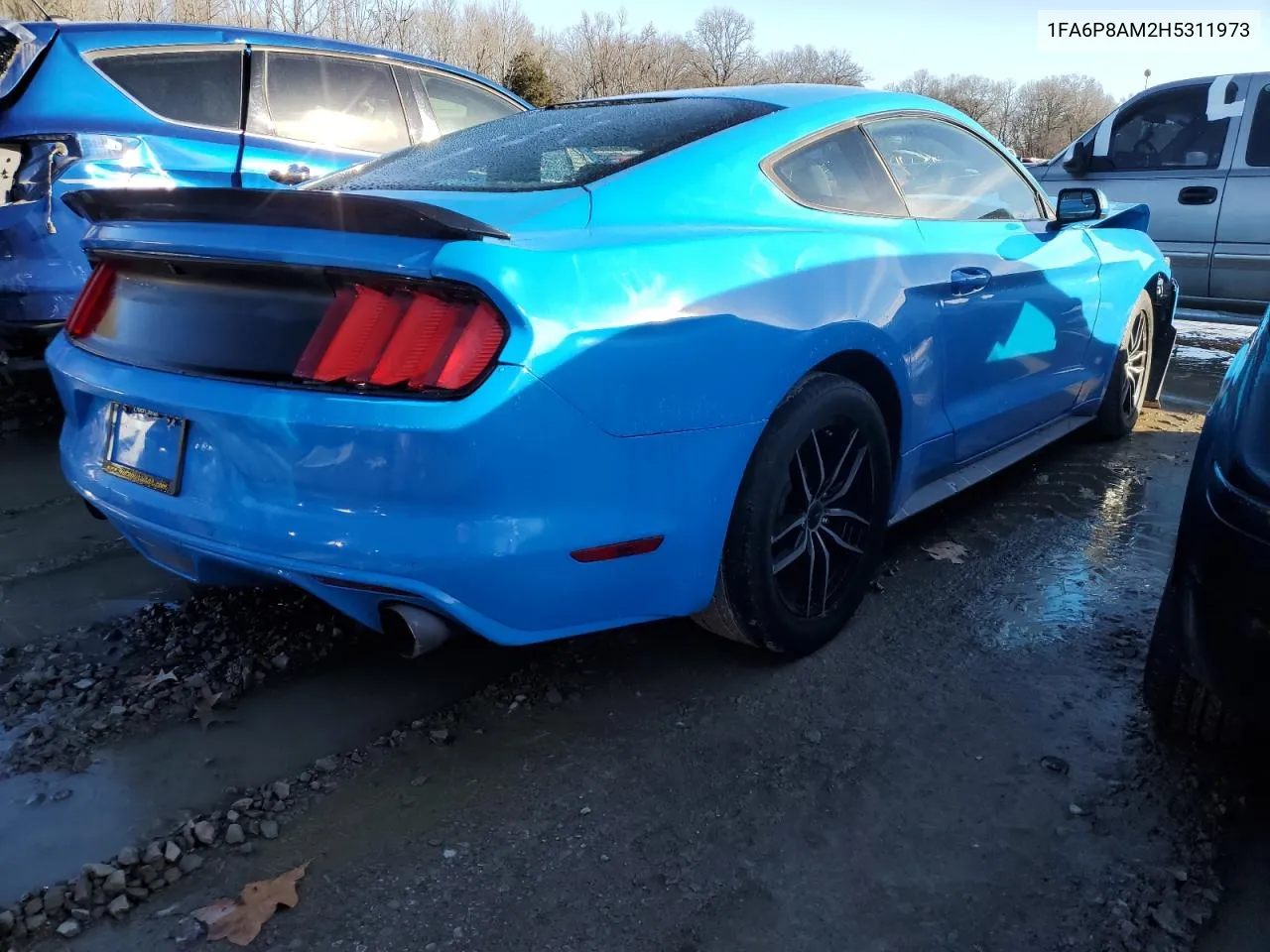 2017 Ford Mustang VIN: 1FA6P8AM2H5311973 Lot: 37054344