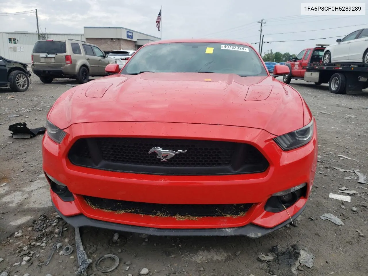 2017 Ford Mustang Gt VIN: 1FA6P8CF0H5289289 Lot: 49782324