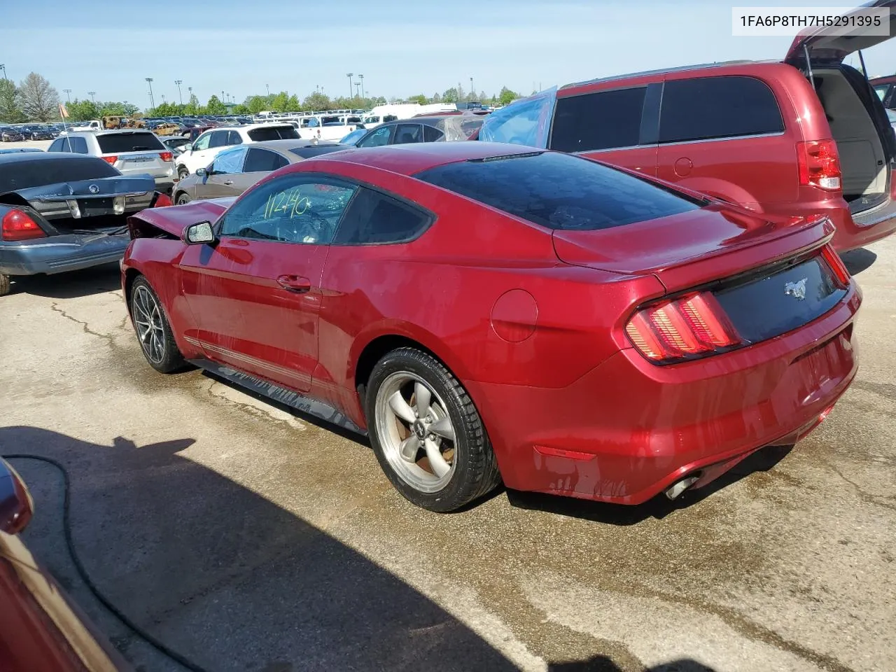 2017 Ford Mustang VIN: 1FA6P8TH7H5291395 Lot: 51650574