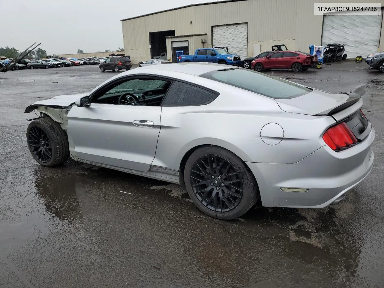 2017 Ford Mustang Gt VIN: 1FA6P8CF9H5247736 Lot: 55564944