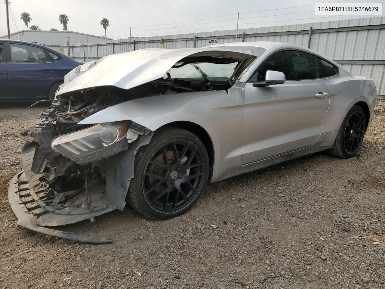 2017 Ford Mustang VIN: 1FA6P8TH5H5246679 Lot: 55631664