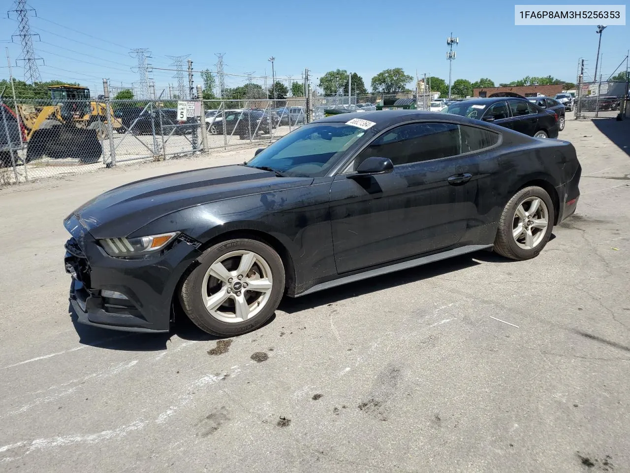 2017 Ford Mustang VIN: 1FA6P8AM3H5256353 Lot: 56821364