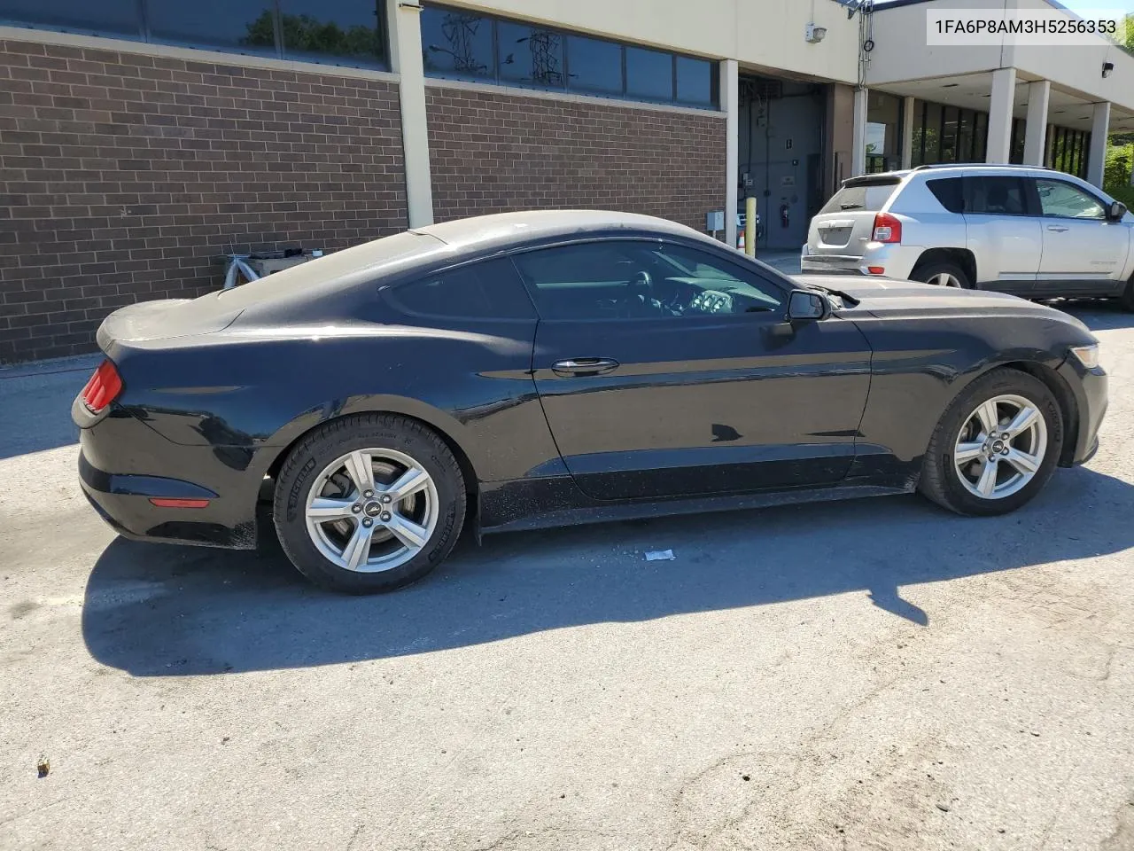 2017 Ford Mustang VIN: 1FA6P8AM3H5256353 Lot: 56821364