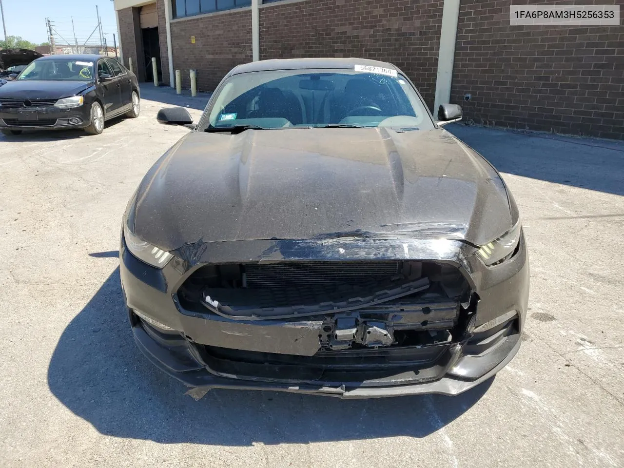 2017 Ford Mustang VIN: 1FA6P8AM3H5256353 Lot: 56821364