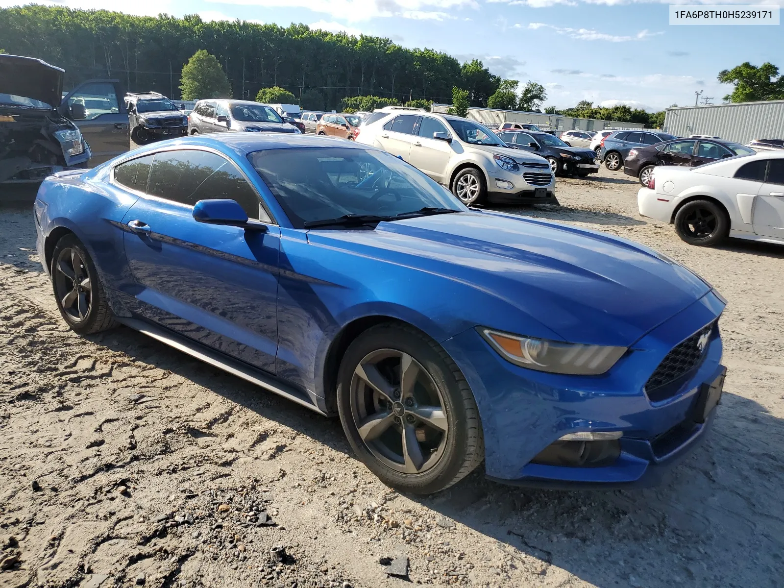 2017 Ford Mustang VIN: 1FA6P8TH0H5239171 Lot: 57141274