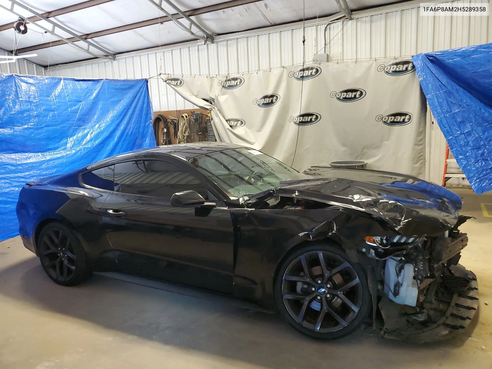 2017 Ford Mustang VIN: 1FA6P8AM2H5289358 Lot: 64871994