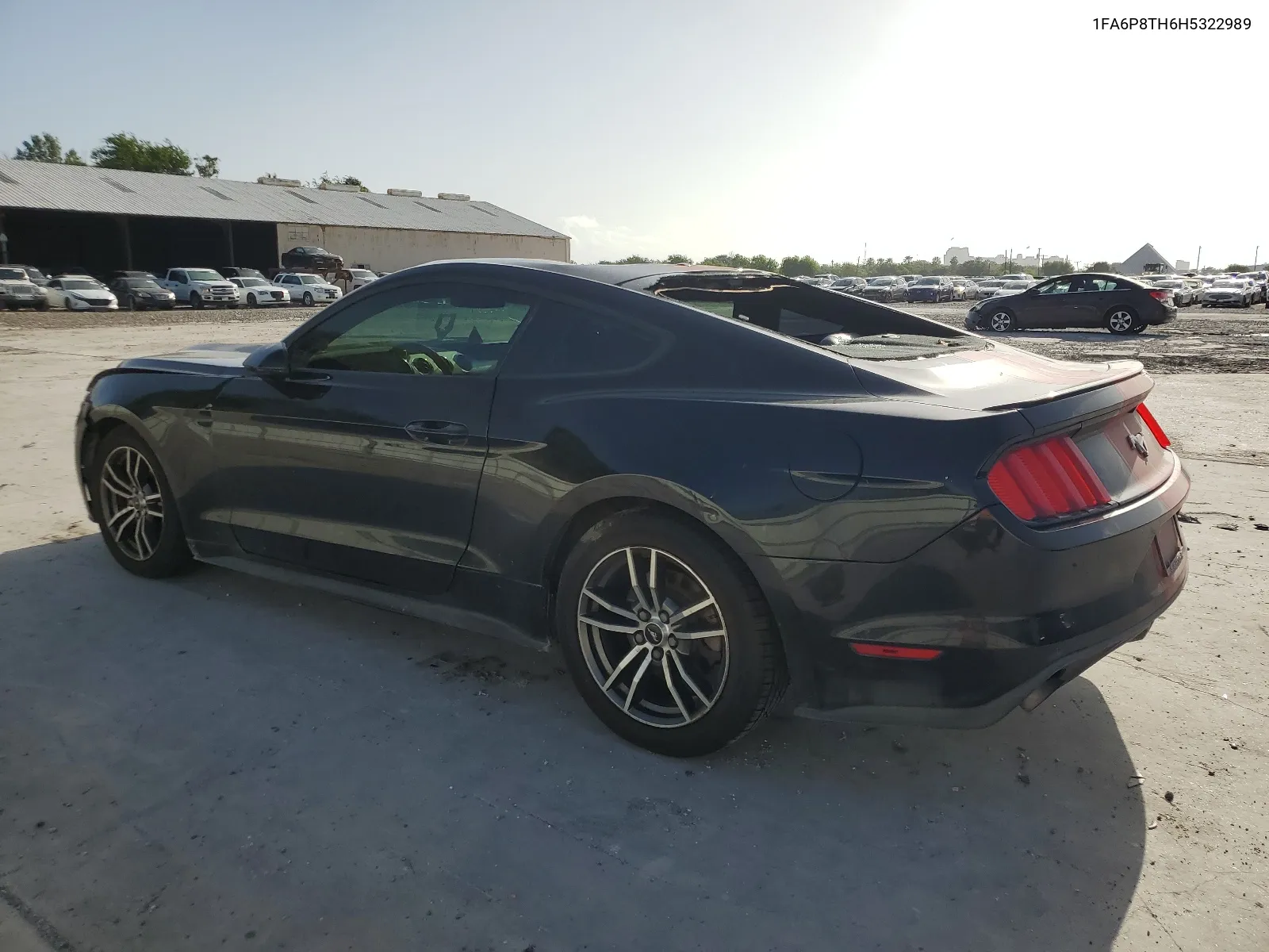 2017 Ford Mustang VIN: 1FA6P8TH6H5322989 Lot: 65115734